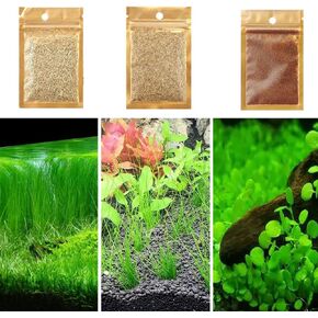 3 Aquarium Plant S.e.e.d Set, not Plastic Artificial Silk Plant,Universal Plant for All Substrate