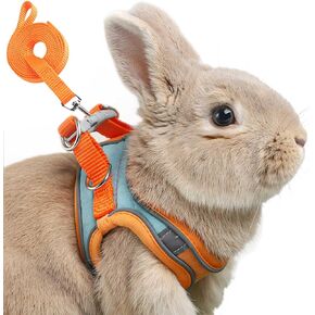 Adjustable Bunny Harness and Leash Set Double Buckle with Reflective Strips Rabbit Vest Pets Stuff Suitable for Rabbit Walks Accessories (Orange, M)