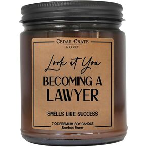 Graduation Gifts - Look at You Becoming A Lawyer Smells Like Success - College, Masters Or Doctorate Graduation Gift, Funny Gifts, Scented Soy 7 oz Candle