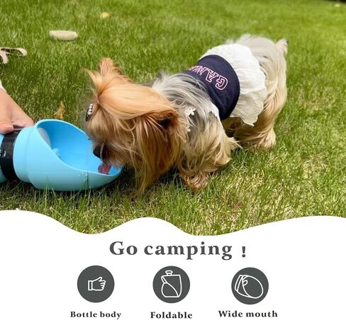 19 OZ,Portable Dog Water Bottle, Dog Travel Water Bottle,No Spill Leak Proof,Light Weight,Food Grade Silicone,Dog Outdoor Accessories for Walking, Hiking, Travel (Light Blue) in Saudi Arabia