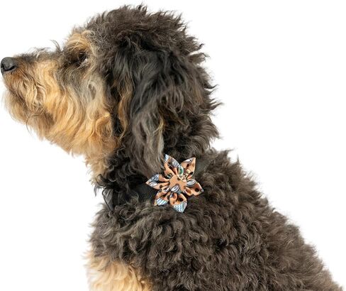 Huxley & Kent Pet Pinwheel | Harvest Check (Large) | Fall Collar Accessory for Dogs/Cats | Bow Collar Attachment | Cute, Comfortable Accessory | H&K Pinwheel for Pets in Saudi Arabia