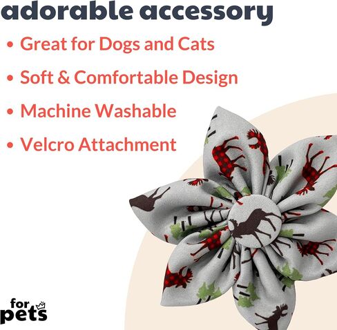 Huxley & Kent Pet Pinwheel | Harvest Check (Large) | Fall Collar Accessory for Dogs/Cats | Bow Collar Attachment | Cute, Comfortable Accessory | H&K Pinwheel for Pets in Saudi Arabia