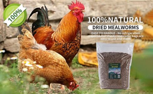 Kimoe 9.10LB 100% ديدان الوجبة المجففة الطبيعية غير المعدلة وراثيًا - نسبة عالية من البروتين للطيور والدجاج والبط in Kuwait