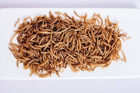 Kimoe 9.10LB 100% ديدان الوجبة المجففة الطبيعية غير المعدلة وراثيًا - نسبة عالية من البروتين للطيور والدجاج والبط in Kuwait