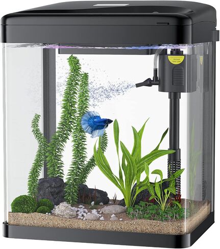 2 Gallon Fish Tank, Glass Aquarium with Filter Light, Small Fish Aquarium Starter Kit for Betta Goldfish Guppy Shrimp in Saudi Arabia