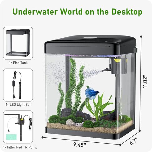 2 Gallon Fish Tank, Glass Aquarium with Filter Light, Small Fish Aquarium Starter Kit for Betta Goldfish Guppy Shrimp in Saudi Arabia