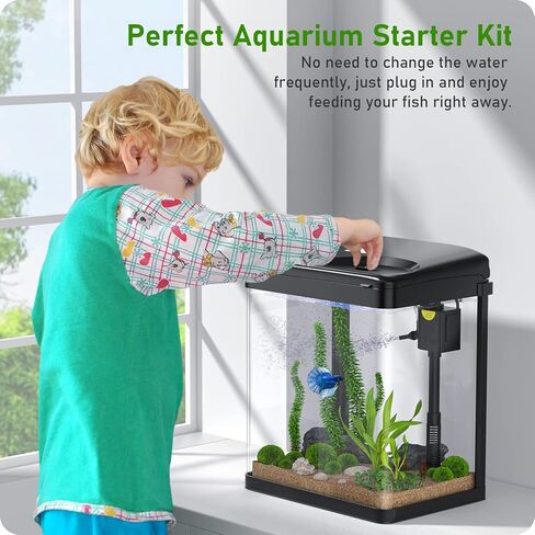 2 Gallon Fish Tank, Glass Aquarium with Filter Light, Small Fish Aquarium Starter Kit for Betta Goldfish Guppy Shrimp in Saudi Arabia