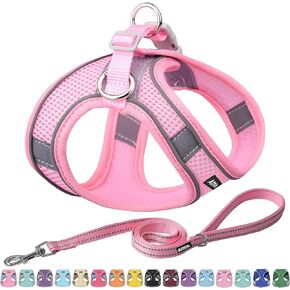 AIITLE Dog Harness, Spring No-Pull Cat Harness with a Leash, Adjustable Reflective Dog Vest, Cat Harness Escape Proof, Outdoor Walking, Camping for Extra Small Dogs and House Cats Pink XXXS