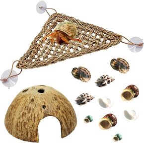PINVNBY Hermit Crab Shells Natural Coconut Shells Hut Growth Seashells 12 PCS Reptile Hideouts Hermit Crab Assorted Turbo Booster Shells Fish Tank Decor Bearded Dragon Hammock for Reptile Habitat