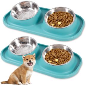 BNOSDM 2 Pcs Double Dog Bowls Set Tilted Raised Stainless Steel Puppy Food and Water Dishes with Non-Spill Plastic Mat, Pet Feeding Bowl for Small Dog Cat (Green)