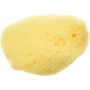 Zoo Med All Natural Hermit Crab Sea Sponge in Kuwait