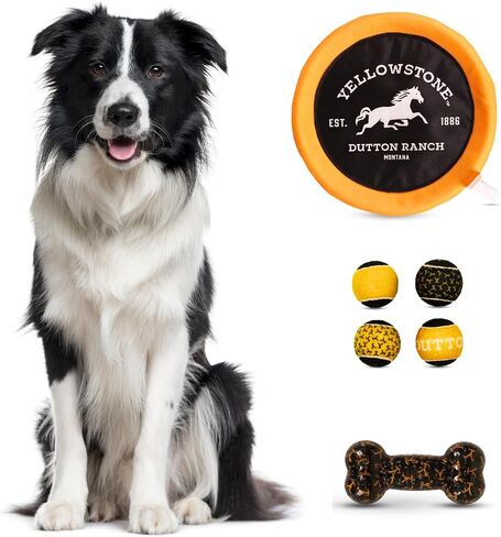 Yellowstone Official Merchandise Outdoor Toys for Dogs - Bundle Gift Set | 4 Squeaky Dog Balls for Fetch, Frisbee Disc, and Durable Chew Bone for Dogs in Saudi Arabia