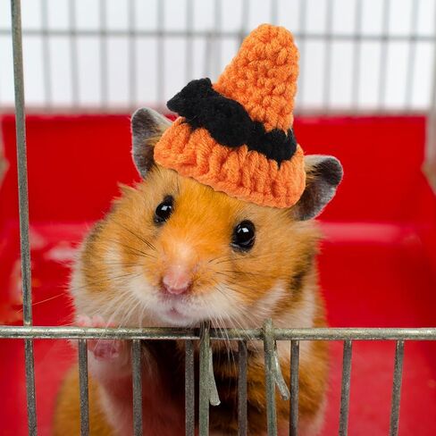 Kajaia 10 Pcs Hamster Hat Small Animals Cute Tiny Hat Mini Hand Knitted Hats for Snakes Pets Bearded Dragon Guinea Pig Bunny Costume Accessories Easter Holiday Parties(Elk) in Saudi Arabia