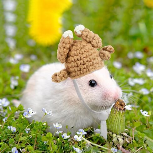 Kajaia 10 Pcs Hamster Hat Small Animals Cute Tiny Hat Mini Hand Knitted Hats for Snakes Pets Bearded Dragon Guinea Pig Bunny Costume Accessories Easter Holiday Parties(Elk) in Saudi Arabia