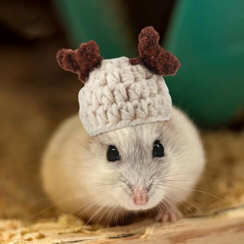 Kajaia 10 Pcs Hamster Hat Small Animals Cute Tiny Hat Mini Hand Knitted Hats for Snakes Pets Bearded Dragon Guinea Pig Bunny Costume Accessories Easter Holiday Parties(Elk) in Saudi Arabia