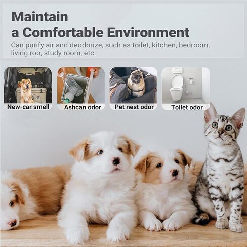Dust-Free Odor Removers, 90% Deodorization & 99.9% Dust reduction, Litter Box Odor Eliminator, Cat Litter Deodorizer, Widely used in Cat Litter Box, Bathroom, Wardrobe, Kitchen, Pet Shop (005) in Saudi Arabia