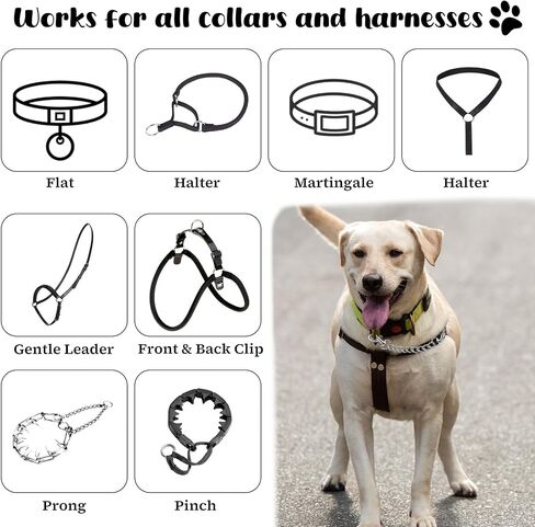 Giantree 2 Pcs Metal Dog Collar Safety Clip, Dog Harness Collar Connector Prong Collar Safety Clip Double Ended Backup Dog Safety Clip 7inch in Saudi Arabia