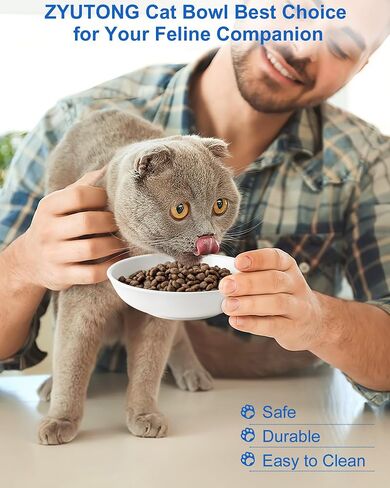 وعاء طعام لطيف للقطط مناسب للقطط، وعاء سيراميك للقطط، أطباق ضحلة للقطط مقاس 5.5 بوصة للطعام، أوعية مسطحة للقطط الداخلية، أطباق واسعة للقطط للأغذية الرطبة in Kuwait