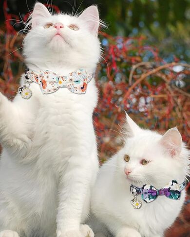 Halloween Cat Collar with Bells, Breakaway Cat Bowtie Collars, Spider Web Skull Pattern 2 Pack Safety Halloween Kitten Collars for Girl Female Boy Male Cats in Saudi Arabia