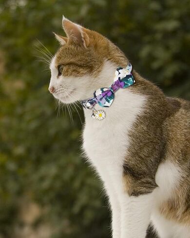 Halloween Cat Collar with Bells, Breakaway Cat Bowtie Collars, Spider Web Skull Pattern 2 Pack Safety Halloween Kitten Collars for Girl Female Boy Male Cats in Saudi Arabia