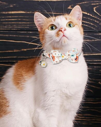 Halloween Cat Collar with Bells, Breakaway Cat Bowtie Collars, Spider Web Skull Pattern 2 Pack Safety Halloween Kitten Collars for Girl Female Boy Male Cats in Saudi Arabia