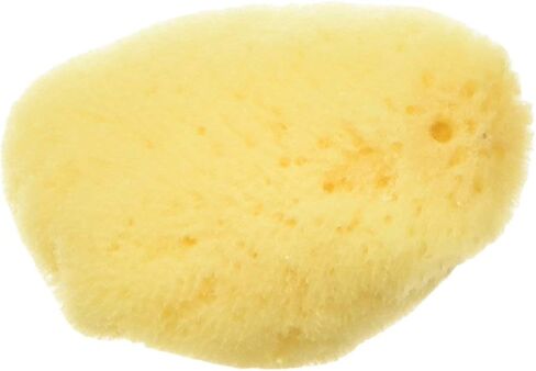 إسفنجة البحر الطبيعية بالكامل من Zoo Med in Kuwait