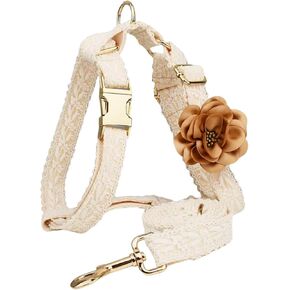 Lace Dog Collar Set Fashion Flowers Puppy Cat Dog Collar Art Embroidered Dog Collar Personalized Premium Dog Collar with Metal Clasp Leash Adjustable for Small Medium Large Dogs (Small)