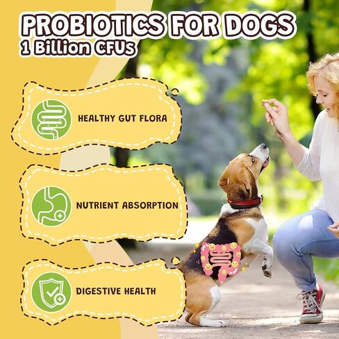 فيتامينات متعددة للكلاب مع معادن للصحة العامة - فيتامينات ومكملات للكلاب مع الجلوكوزامين والبروبيوتيك للكلاب الكبيرة وكبار السن مع المعادن - زيت السمك أوميغا 3 للبشرة والمعطف - 118 مضغ in Kuwait