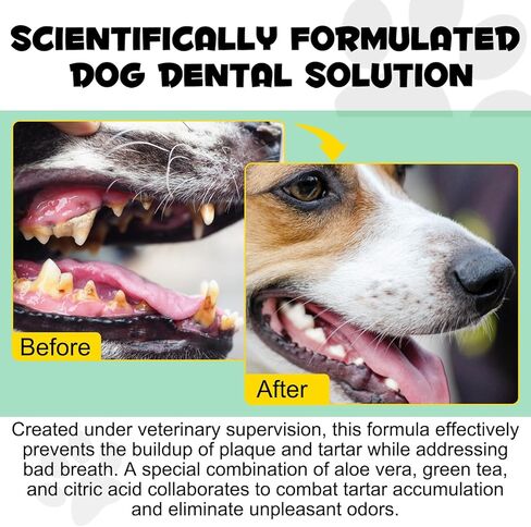 Oral Care Spray for Dogs, Pet Breath Dental Care Spray with Natural Ingredients, Dog Breath Freshener for Bad Breath, Plaque and Tartar, Pet Health Supplies Teeth Treatment Spray - 5.1 Fl Oz / 150ml in Kuwait