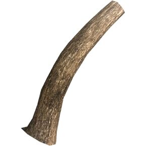 hotspot pets Premium Whole Deer Antlers for Dogs - 8+ Inch X-Large Deer Antler Dog Chews - Naturally Shed for Large Breed Aggressive Chewers - Sourced in USA (1, X-Large Antler)