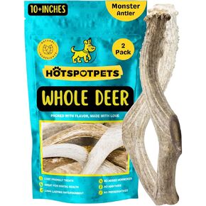 هوت سبوت بيتس - قرون غزال كاملة ممتازة للكلاب - مضغ للكلاب بحجم 8+ بوصة بحجم كبير جدًا - يتم تساقطها بشكل طبيعي للمضغ العدواني من السلالات الكبيرة - مصدرها في الولايات المتحدة الأمريكية (1، قرن الوعل كبير جدًا) in Kuwait