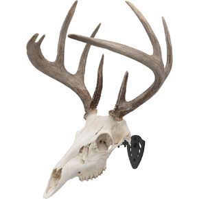 Allen Company EZ Mount Skull Hanger, Fixed, Black