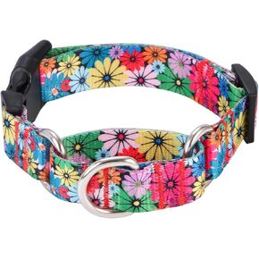 Rhea Rose Dog Martingale Collar with Quick Release Buckle, Adjustable Soft Escape Proof Collar, Training Collar, Dinosaur Patterns, Large