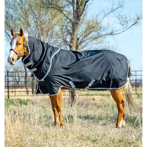 بطانية Horseware® Amigo® Stock Horse Plus Turnout Horse (200 جم متوسطة)