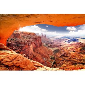 AWERT Stone Reptile Habitat Background Sky Oasis Mountain Cactus Sun and Desert Terrarium Background 48x24 inches Polyester Background