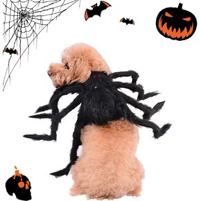 Dog Halloween Costumes,Spider Halloween Dog Costume for Small Medium Dogs, Funny Puppy Pet Halloween Costumes for Cat Dog Halloween Party Cosplay Accessories Spider Decoration,Black
