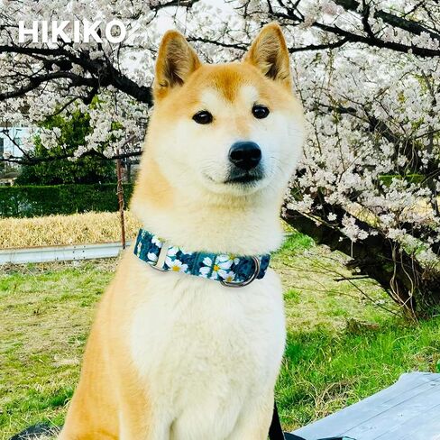 Hikiko Martingale Collar for Dogs with No Buckle Floral Daisy Dog Collar Soft Nylon No Pull Dog Collars for Small Dogs,Green Flower,S in Saudi Arabia