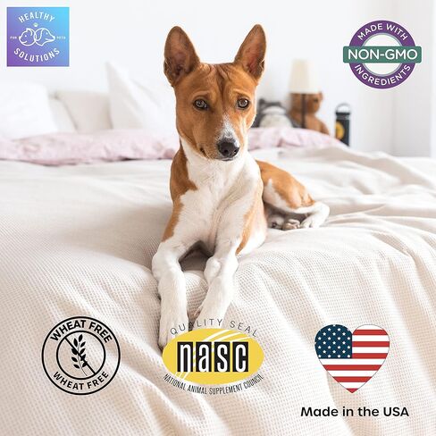 Dog Fiber Soft Chews Supplement - Stop Scooting Digestive Formula Enhanced with Pumpkin, Psyllium Husk, & Beet Pulp - Supports Dogs Healthy Anal Gland, Stool & Constipation - Made in USA, 120 ct in Kuwait