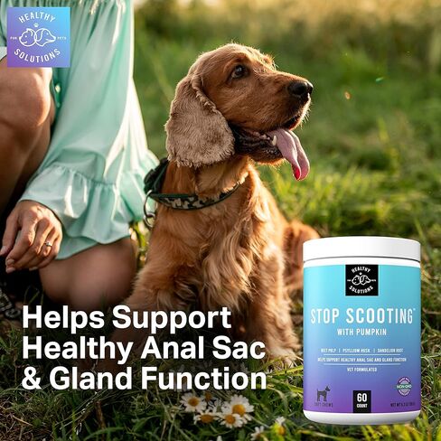 Dog Fiber Soft Chews Supplement - Stop Scooting Digestive Formula Enhanced with Pumpkin, Psyllium Husk, & Beet Pulp - Supports Dogs Healthy Anal Gland, Stool & Constipation - Made in USA, 120 ct in Kuwait