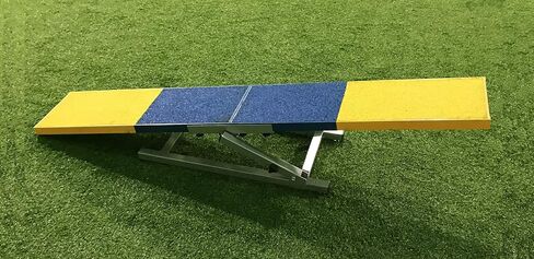 108727 Training Teeter in Saudi Arabia