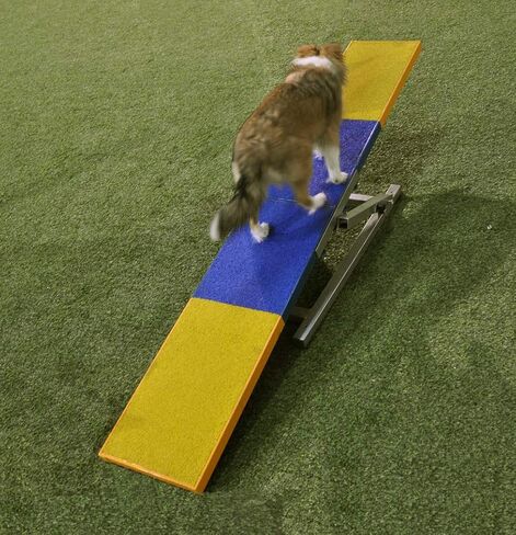 108727 Training Teeter in Saudi Arabia
