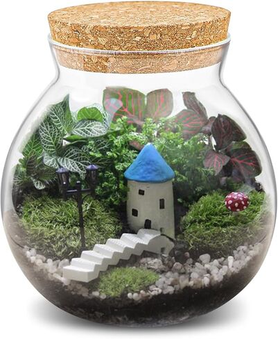 DOERDO سطح المكتب وعاء الأسماك المناظر الطبيعية زجاجة صغيرة مربى زجاجي شفاف خزان الأسماك الصغيرة لنباتات أسماك البيتا الصغيرة، 7 × 5.9 بوصة in Kuwait
