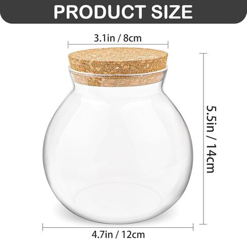 DOERDO سطح المكتب وعاء الأسماك المناظر الطبيعية زجاجة صغيرة مربى زجاجي شفاف خزان الأسماك الصغيرة لنباتات أسماك البيتا الصغيرة، 7 × 5.9 بوصة in Kuwait