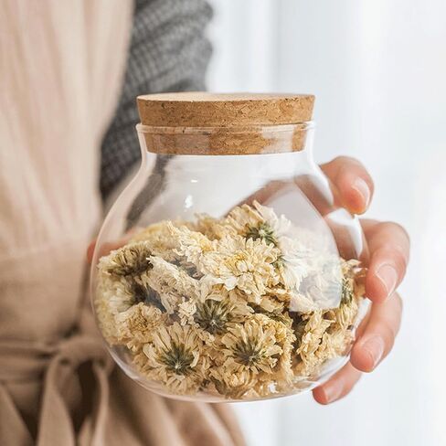 DOERDO سطح المكتب وعاء الأسماك المناظر الطبيعية زجاجة صغيرة مربى زجاجي شفاف خزان الأسماك الصغيرة لنباتات أسماك البيتا الصغيرة، 7 × 5.9 بوصة in Kuwait