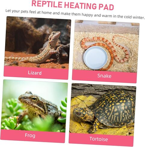 3 قطعة وسادة التدفئة وسادة الحرارة الزواحف ذاتية التدفئة وسادة القط التدفئة حصيرة الحرارة حصيرة الزواحف خنزير غينيا النوم حصيرة حاوية زجاجية صغيرة الحيوانات الأليفة الحرارة حصيرة اللؤلؤ القطن شينشيلا عش القط in Kuwait