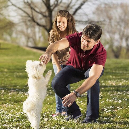 صافرة الكلب، صفارة كلب بالموجات فوق الصوتية لإيقاف نباح كلب الجيران، صفارات تدريب احترافية لاستدعاء الكلاب، صافرة كلب صامتة بالموجات فوق الصوتية قابلة للتعديل لإيقاف أجهزة التحكم في النباح، حبل قصير in Kuwait