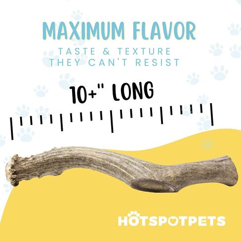 hotspot pets Premium Whole Deer Antlers for Dogs - 8+ Inch X-Large Deer Antler Dog Chews - Naturally Shed for Large Breed Aggressive Chewers - Sourced in USA (1, X-Large Antler) in Kuwait