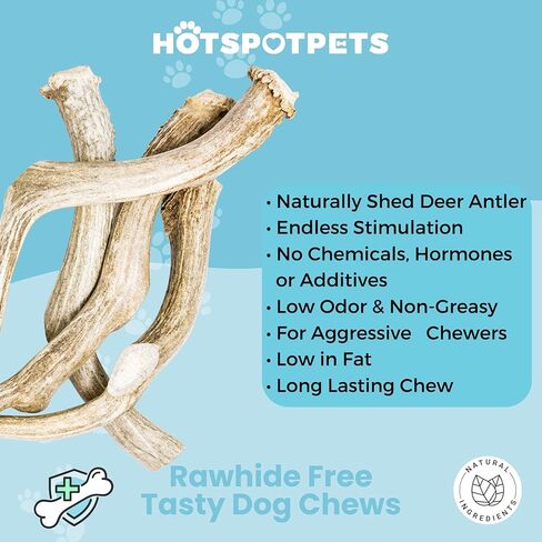 hotspot pets Premium Whole Deer Antlers for Dogs - 8+ Inch X-Large Deer Antler Dog Chews - Naturally Shed for Large Breed Aggressive Chewers - Sourced in USA (1, X-Large Antler) in Kuwait