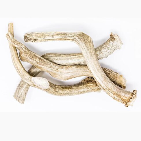 hotspot pets Premium Whole Deer Antlers for Dogs - 8+ Inch X-Large Deer Antler Dog Chews - Naturally Shed for Large Breed Aggressive Chewers - Sourced in USA (1, X-Large Antler) in Kuwait