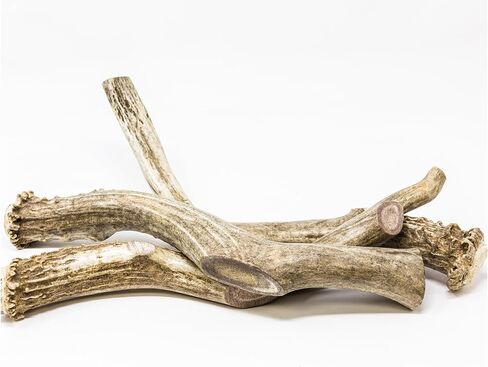 hotspot pets Premium Whole Deer Antlers for Dogs - 8+ Inch X-Large Deer Antler Dog Chews - Naturally Shed for Large Breed Aggressive Chewers - Sourced in USA (1, X-Large Antler) in Kuwait